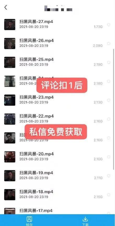 扫黑风暴40集正版观看渠道详解