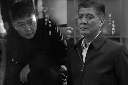 扫黑风暴主要角色分析与演员表现