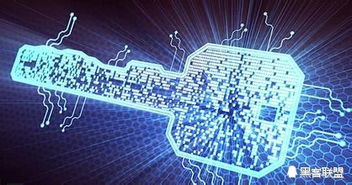 5. AI数据选品,ai数据模型