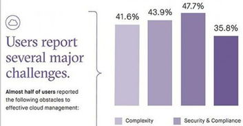 合规性挑战与地域限制影响