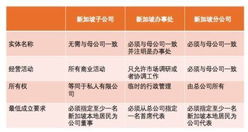 新加坡注册实体的法律地位解析