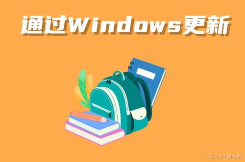 寻找官方下载源：确保安全无风险