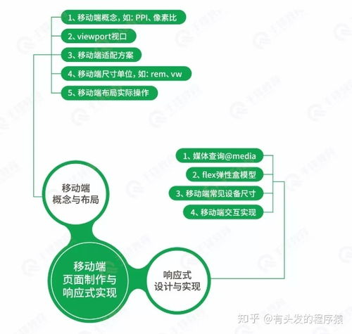 深度参与社区生态的进阶路径