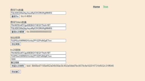 四、 发送TRC20代币：执行安全转账