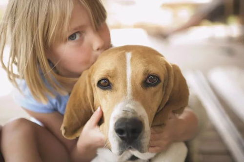 狗狗币公链的技术特性与兼容难点