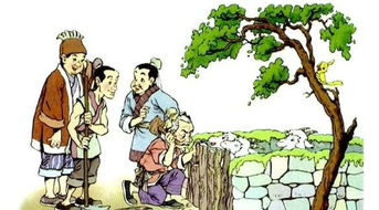 亡羊补牢：加固钱包安全的七道防火墙