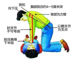 可能的自救途径：尝试回忆与寻找备份