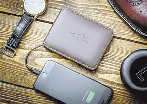 为什么ADA存储需要专门的钱包支持？