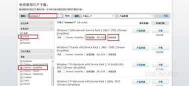 应用版本与安装包验证