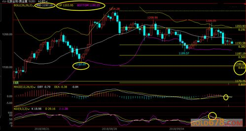 三、Gas费优化与交易加速策略