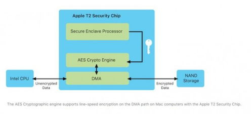 安全验证：生物识别与硬件确认