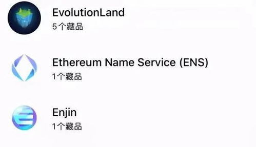 浏览与筛选您的NFT收藏