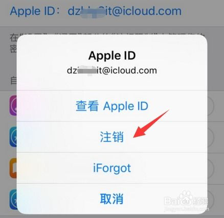 地址输入错误与格式校验失败