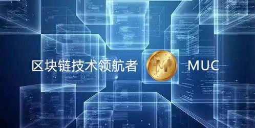 三、区块链溯源与证据固定技术