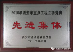 开发团队与公司归属