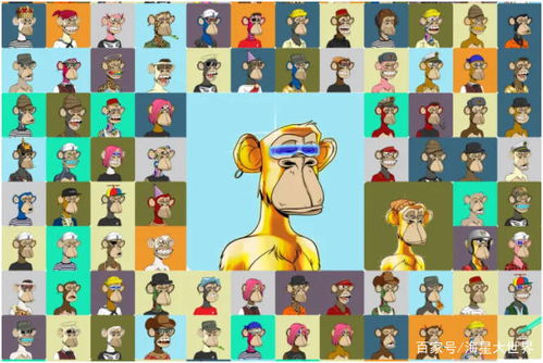 imToken与NFT的基本概念