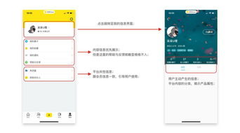 官网核心功能模块深度解析