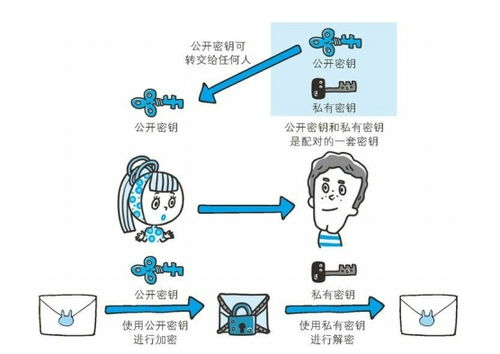 安全机制与私钥控制对比