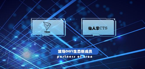 深度参与波场DeFi与DApp生态