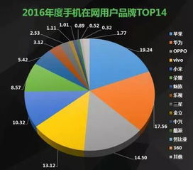 用户面临的挑战与风险探讨