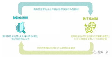 中国运营中心的核心职能与价值