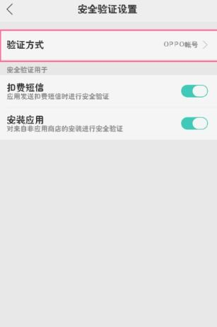 完成安装后的安全验证步骤