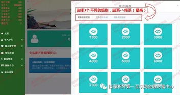 送币操作步骤的详细指南