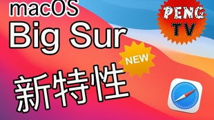 操作体验与新手友好度测评