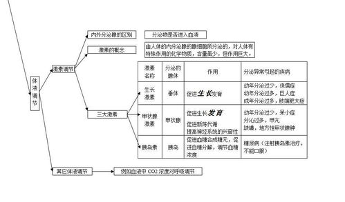 极致安全架构：从助记词到生物识别