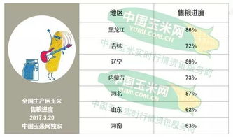 二、中国政策环境下的功能限制与合规边界