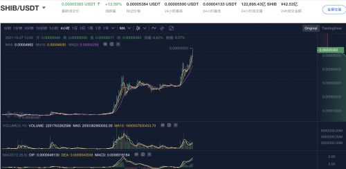 SHIB代币的基本介绍与特性