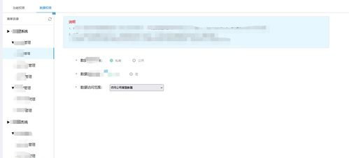 权限与授权问题：访问控制的钥匙