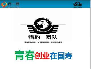 核心开发团队与中国技术基因