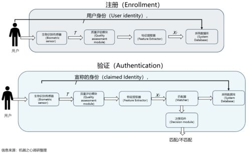 生物识别技术如何辅助密码验证流程
