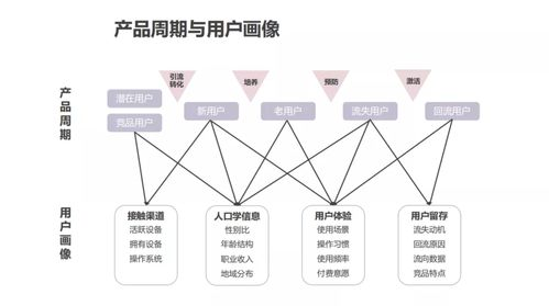 一、市场调研与用户画像定位