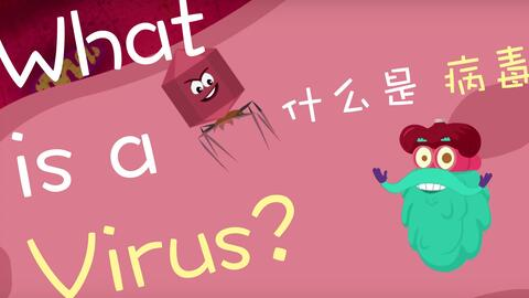 Shopee Hashtag Tactics, Enhancing Online Sales