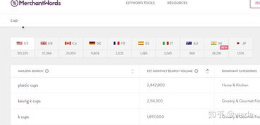 亚马逊关键词工具为何是优化产品排名的基石