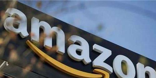 142. 亚马逊侵权投诉,亚马逊被侵权投诉后还能把账号里面的钱弄走吗?