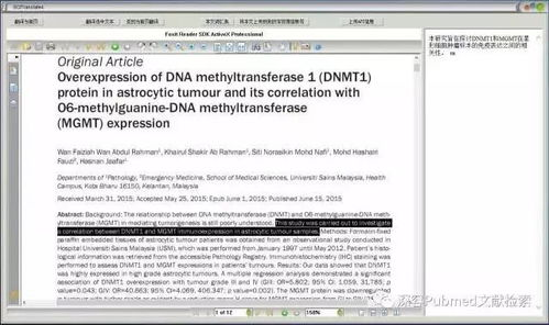 亚马逊翻译工具的核心功能与技术解析
