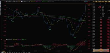 15. Temu美国市场,美国国际市场