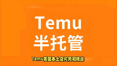 41. Temu一件代发,一件代发是坑吗