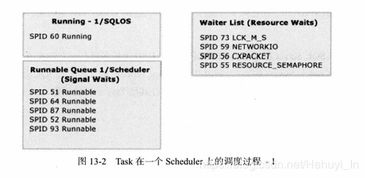 49. Temu质检,【质检 】