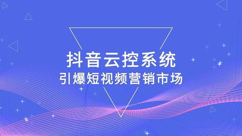 63. Temu站外引流,站外和站内引流各是采取什么样的方法呢