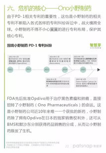 98. Temu专利,专利特新