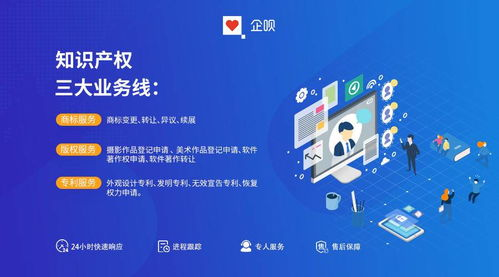 Temu平台简介与知识产权背景