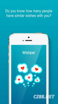 130. Temu与Wish对比,wish与wishes区别