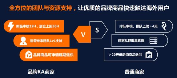 136. Temu品牌卖家,品牌特卖电商平台有哪些