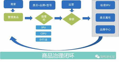 Temu轻小件商品导购指南，解析低价优势与高效配送秘诀
