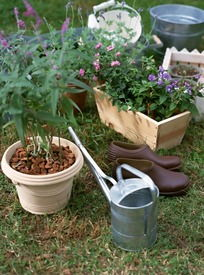 145. Temu园艺工具,园艺工具介绍