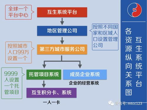 186. Temu全托管模式,托管模式方案